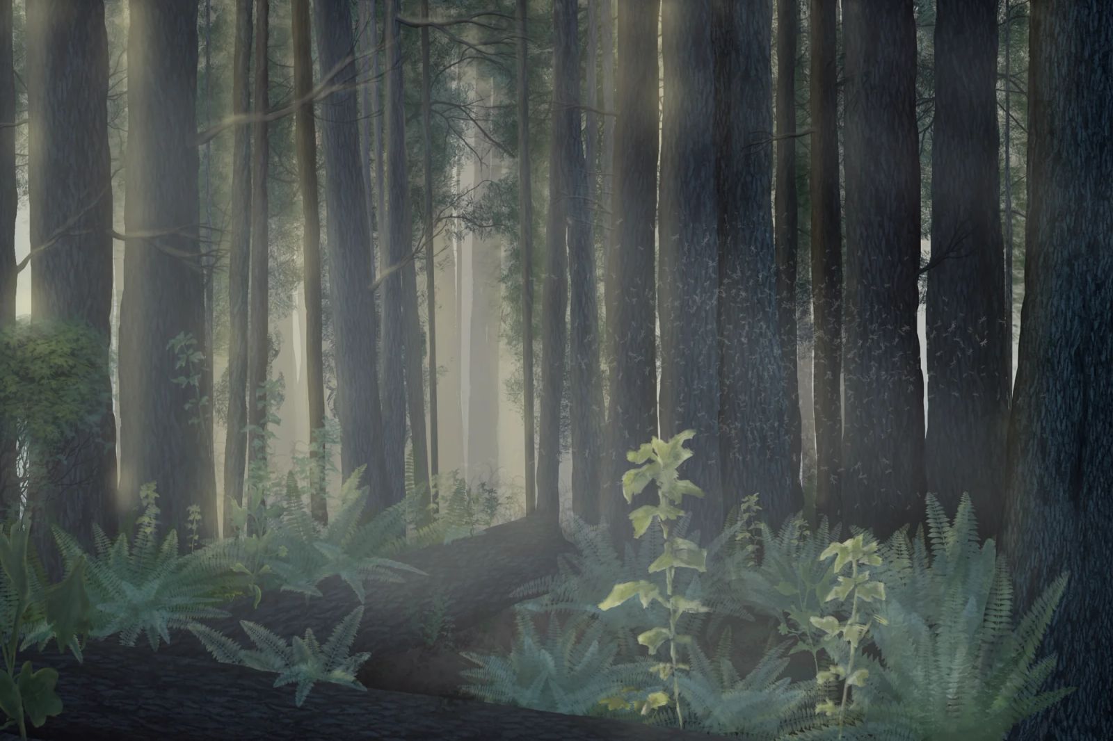 Redwood Landscape